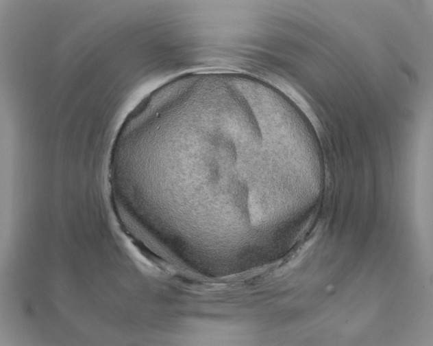 X0000112091485200908251116