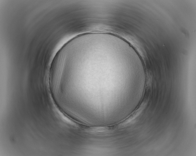 X0000112091486200908251116