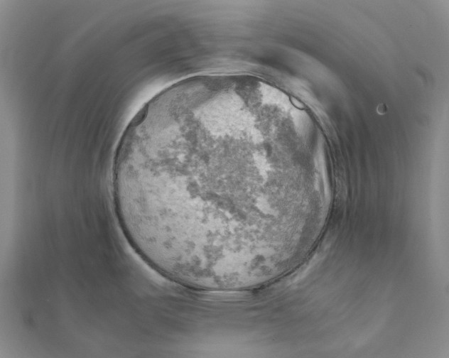 X0000112091487200908251116