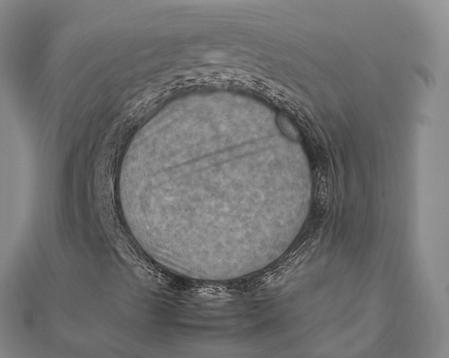 X0000112091489200908251116