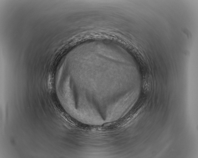 X0000112091490200908251116