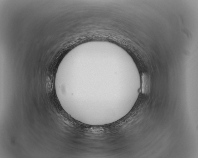 X0000112091491200908251116