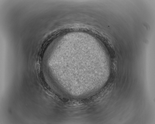 X0000112091493200908251116