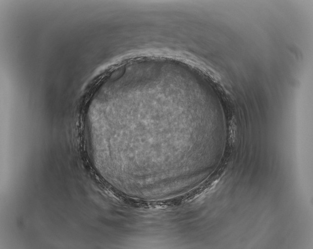 X0000112091494200908251116