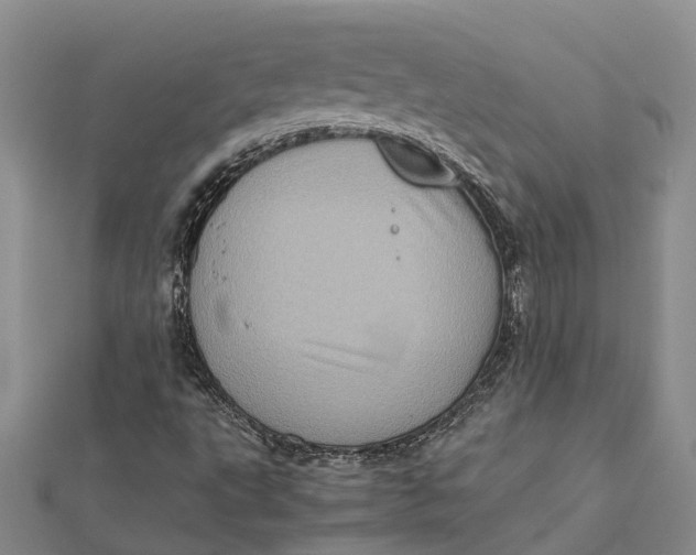 X0000112091495200908251116