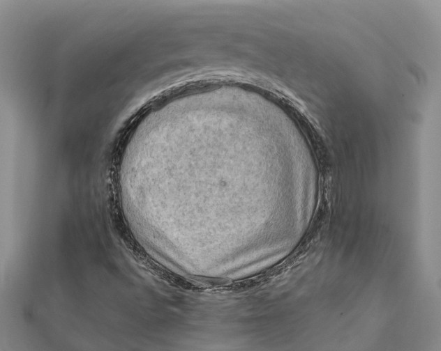 X0000112091496200908251116