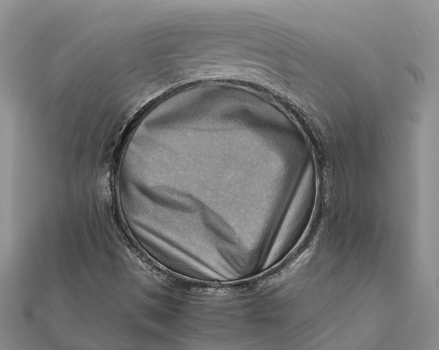 X0000112091497200908251116