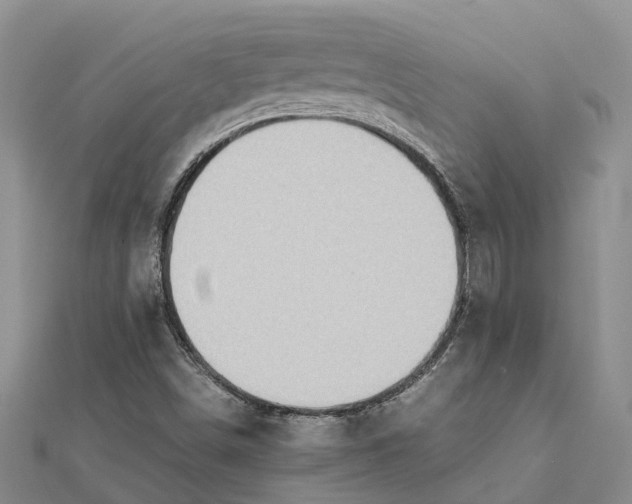 X0000112091498200908251116