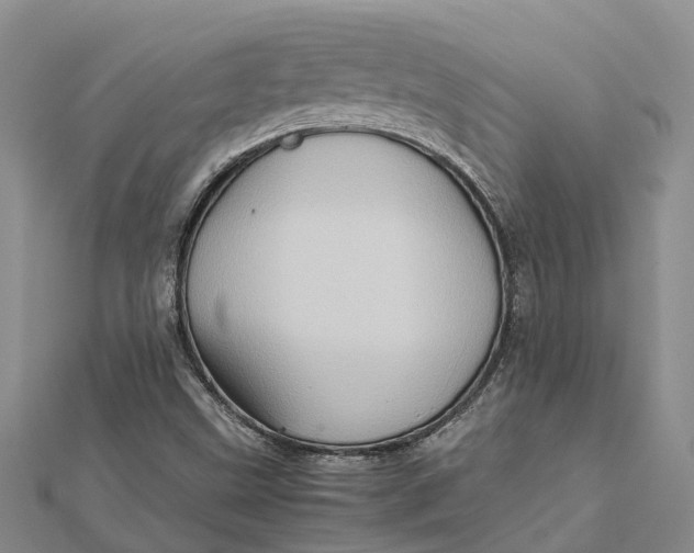 X0000112091499200908251116