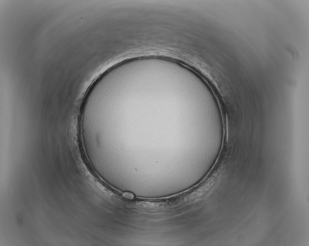 X0000112091500200908251116