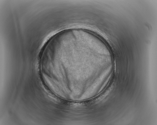 X0000112091501200908251116