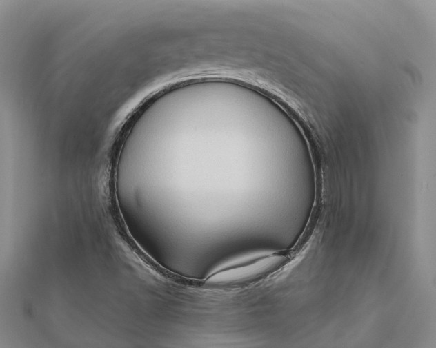 X0000112091502200908251116