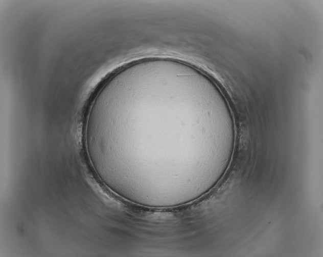 X0000112091503200908251116