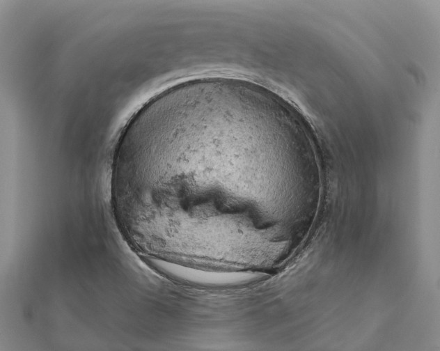 X0000112091504200908251116