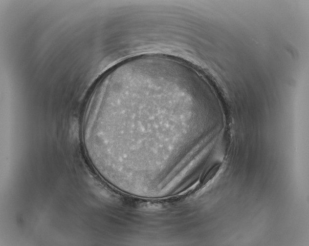 X0000112091505200908251116