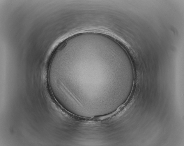 X0000112091506200908251116