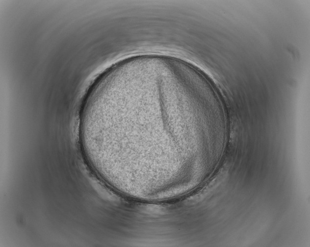 X0000112091507200908251116