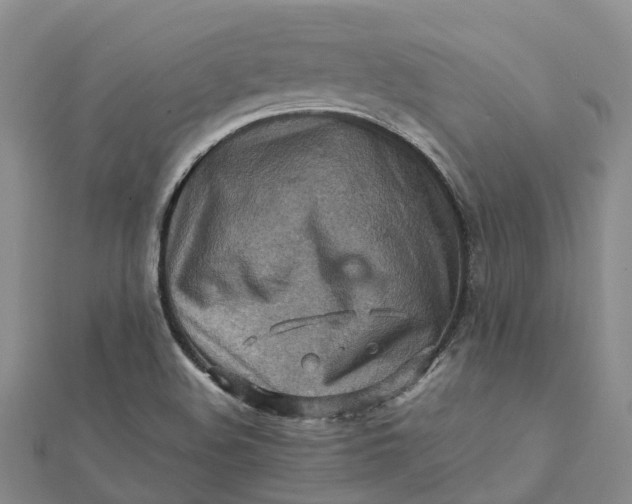 X0000112091508200908251116