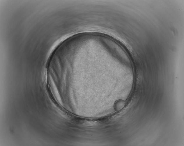 X0000112091509200908251116