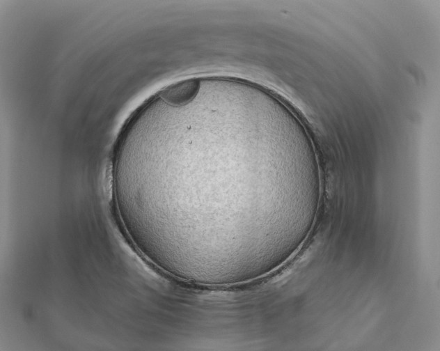 X0000112091510200908251116