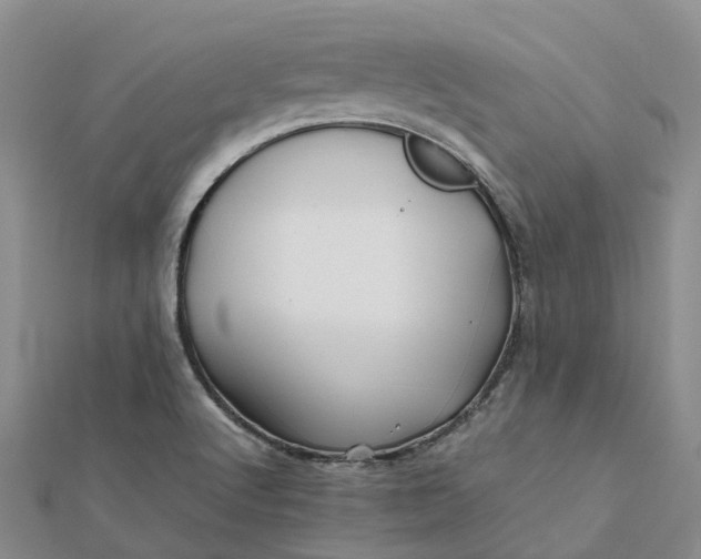 X0000112091512200908251116