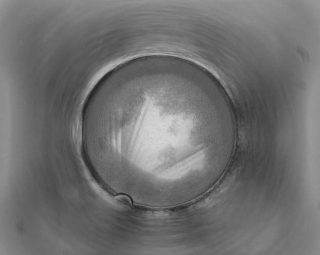 X0000112091515200908251116