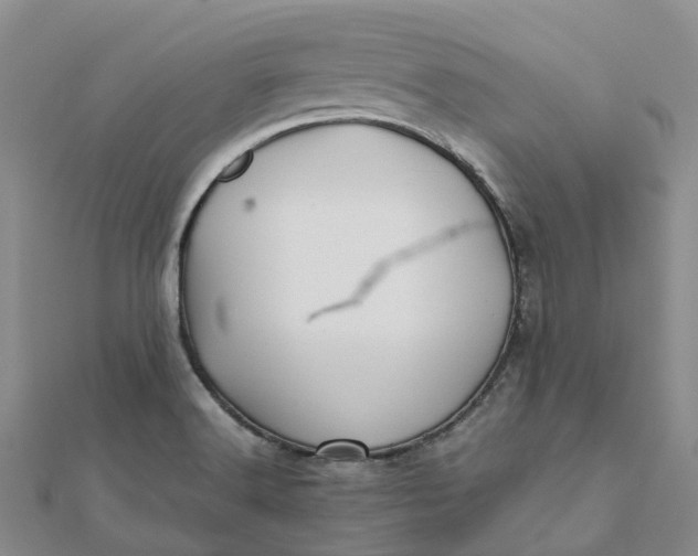 X0000112091516200908251116