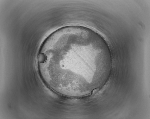 X0000112091517200908251116