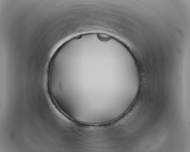 X0000112091518200908251116