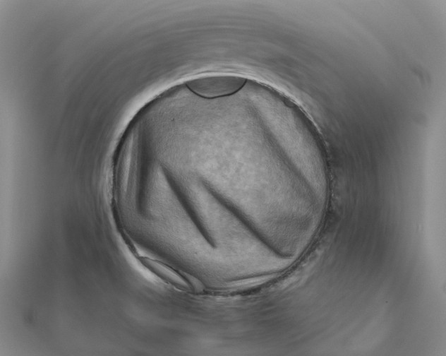 X0000112091519200908251116