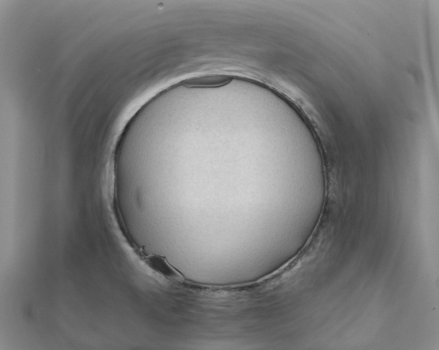 X0000112091520200908251116