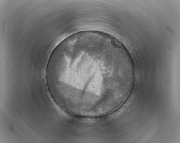 X0000112091521200908251116