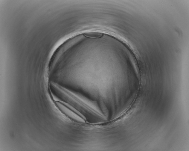 X0000112091522200908251116