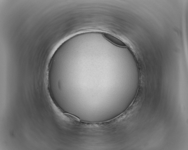 X0000112091524200908251116