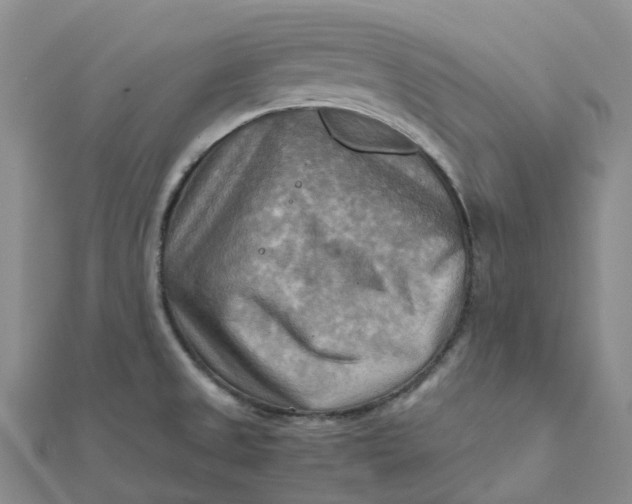 X0000112091525200908251116