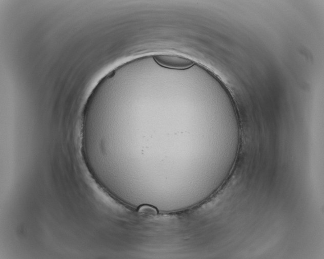 X0000112091526200908251116