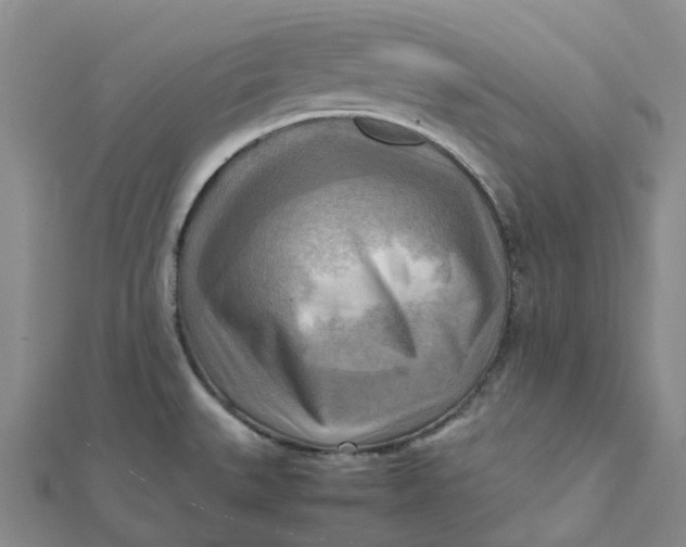 X0000112091527200908251116