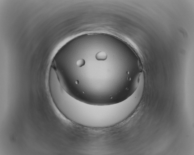 X0000112091528200908251116