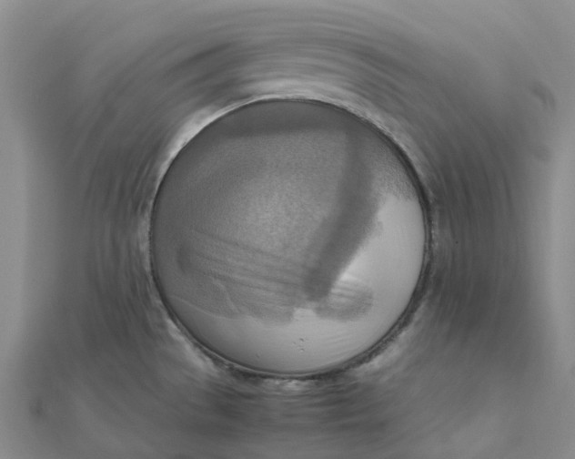 X0000112091529200908251116