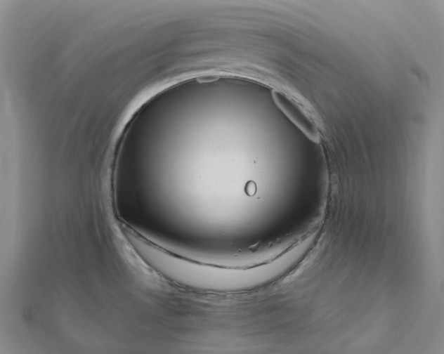 X0000112091530200908251116