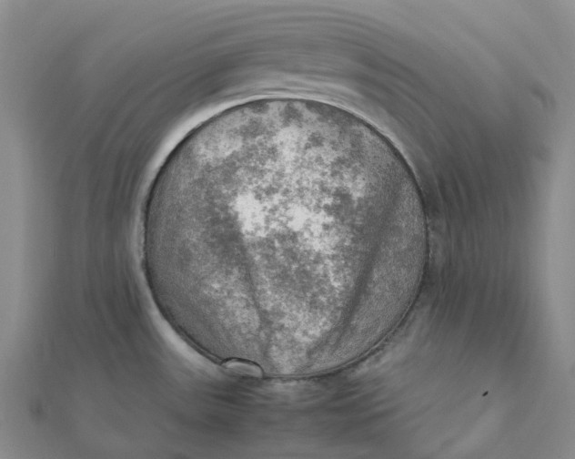 X0000112091531200908251116