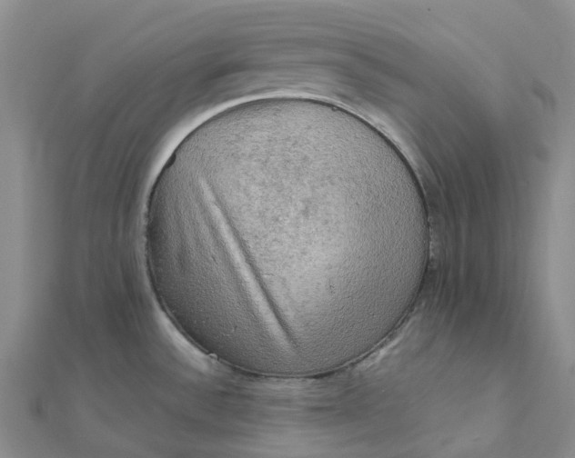 X0000112091532200908251116