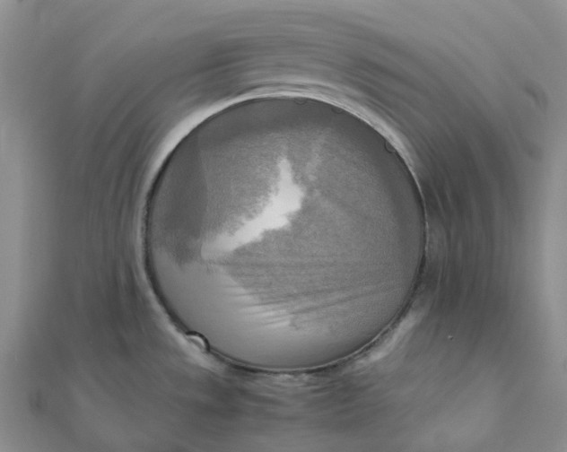 X0000112091533200908251116