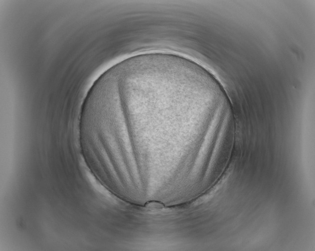 X0000112091534200908251116