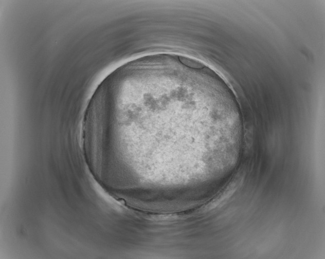 X0000112091535200908251116