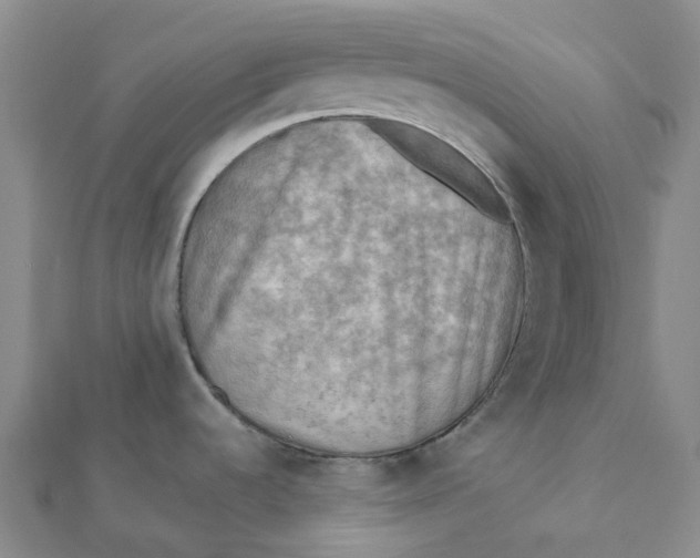 X0000112091536200908251116