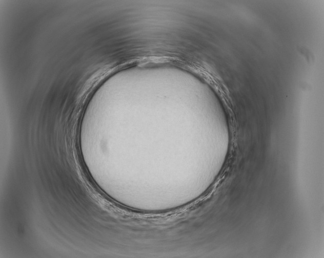 X0000112090001200909011113