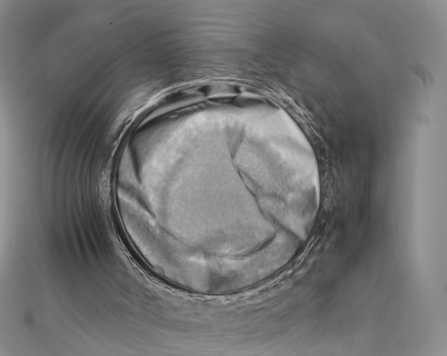 X0000112090002200909011113