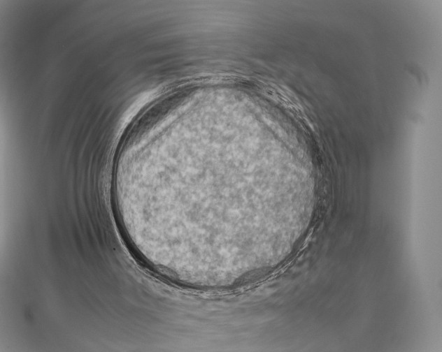 X0000112090003200909011113