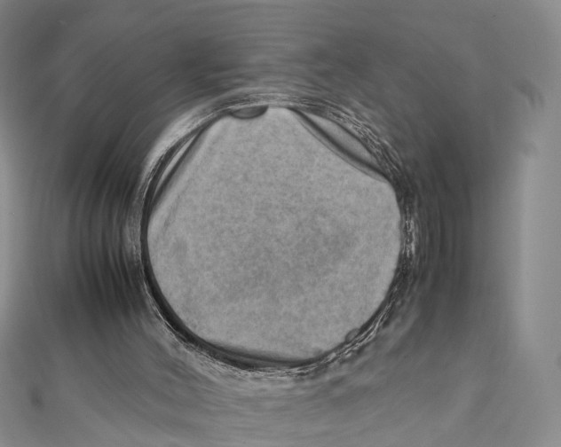 X0000112090004200909011113